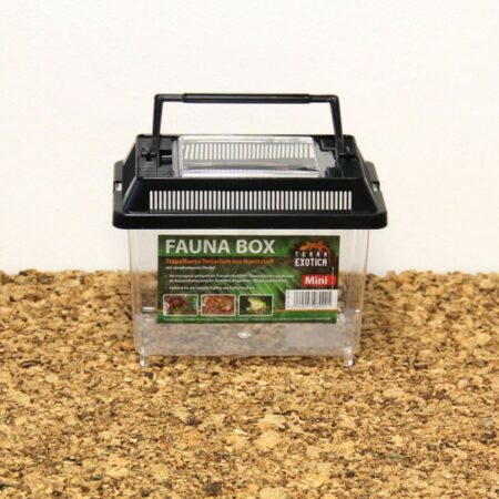 Fauna Box – Mini  18 x 11 x 14 cm