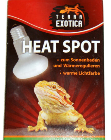 Terra Exotica Heat Spot